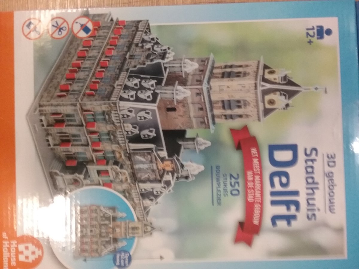 3D Gebouw - Stadhuis Delft (250)